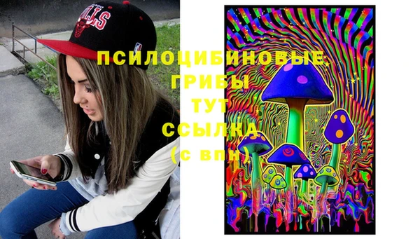 прущие крисы Алексеевка